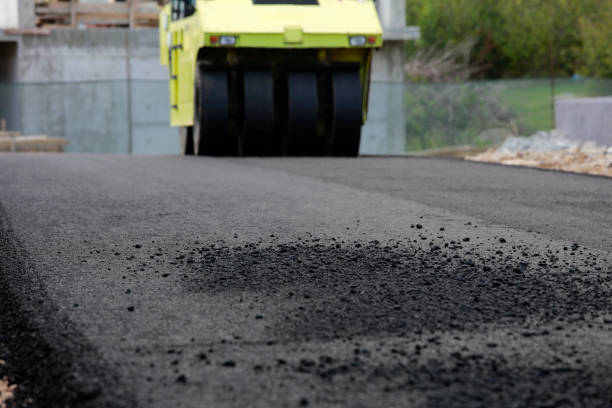 Best Driveway Paving Near Me  in Los Lunas, NM