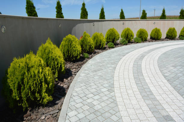 Best Affordable Driveway Paving  in Los Lunas, NM